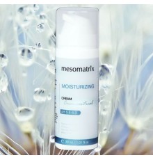 Mesomatrix MOISTURIZING Увлажняющий крем для лица и век с гиалуроновой кислотой и коллагеном 