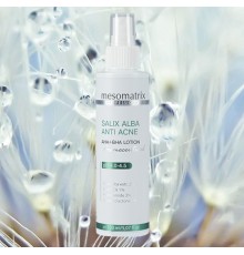 Mesomatrix SALIX ALBA ANTI ACNE AHA+BHA Салициловый лосьон для жирной проблемной кожи от акне, постакне, широких пор , 150ml